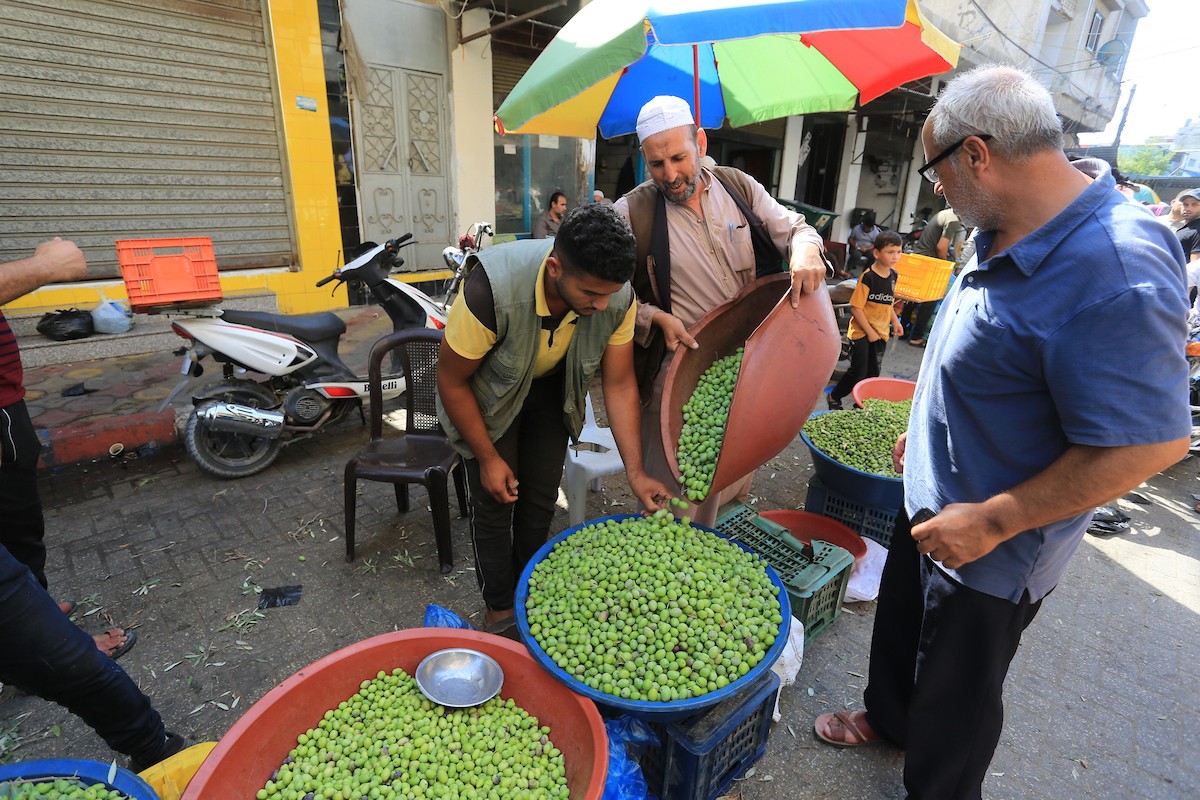 أقدم سوق زيتون في خان يونس 7(3).jpg