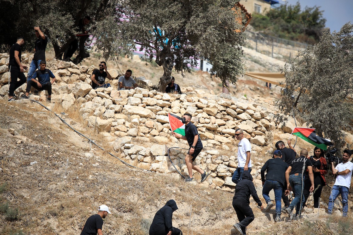 شرطة الاحتلال الإسرائيلي تمنع المواطنين الفلسطينيين من قطف الزيتون في سلوان بمدينة القدس 17.jpg