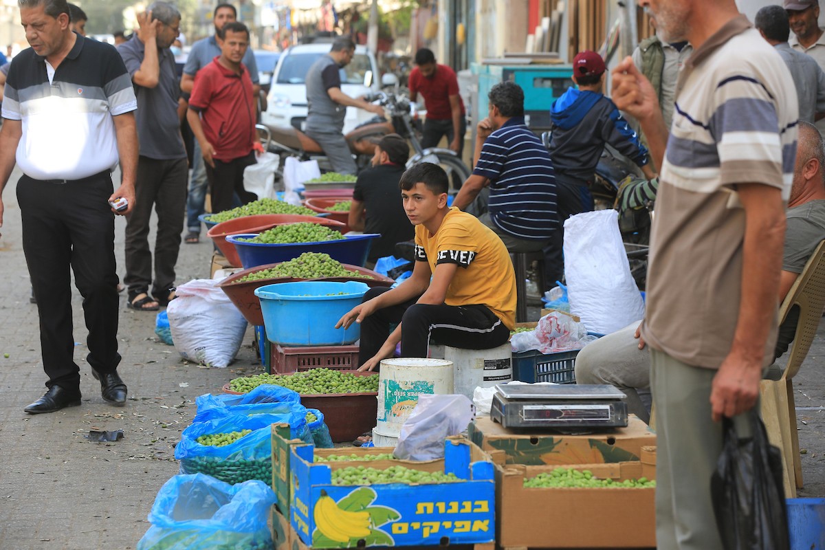 أقدم سوق زيتون في خان يونس 17.jpg