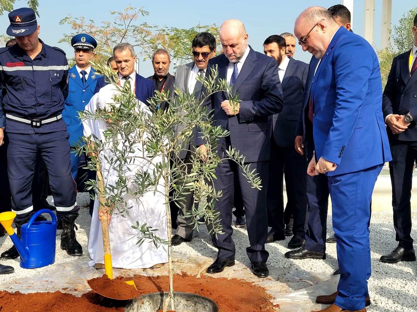 الهباش يمثل الرئيس في غرس شجرات زيتون فلسطينية في ساحة جامع الجزائر الأعظم 8.jpg