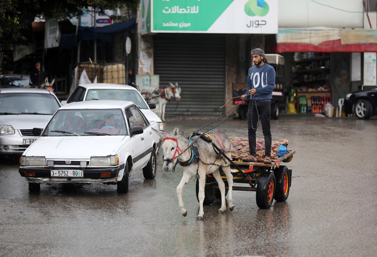 فلسطينيون يسيرون في شارع غمرته مياه الأمطار في دير البلح وسط قطاع غزة 1.jpg
