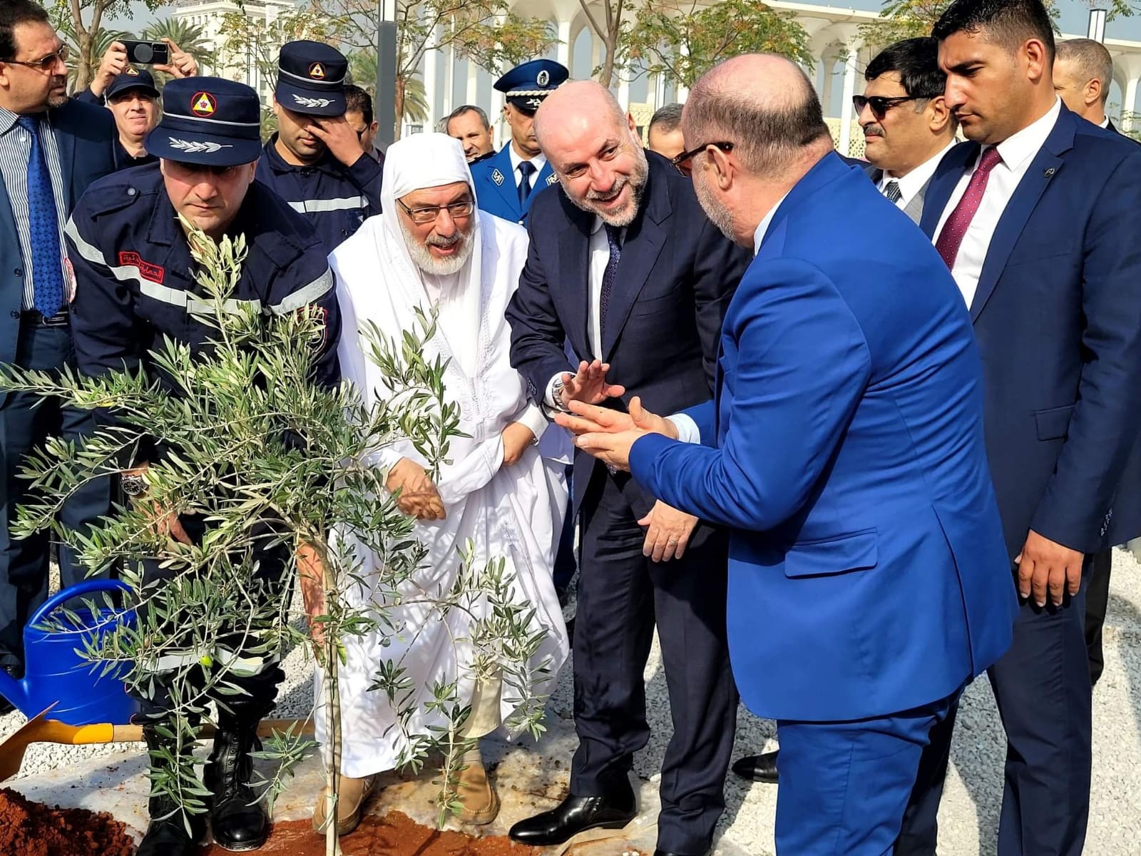 الهباش يمثل الرئيس في غرس شجرات زيتون فلسطينية في ساحة جامع الجزائر الأعظم 6.jpg