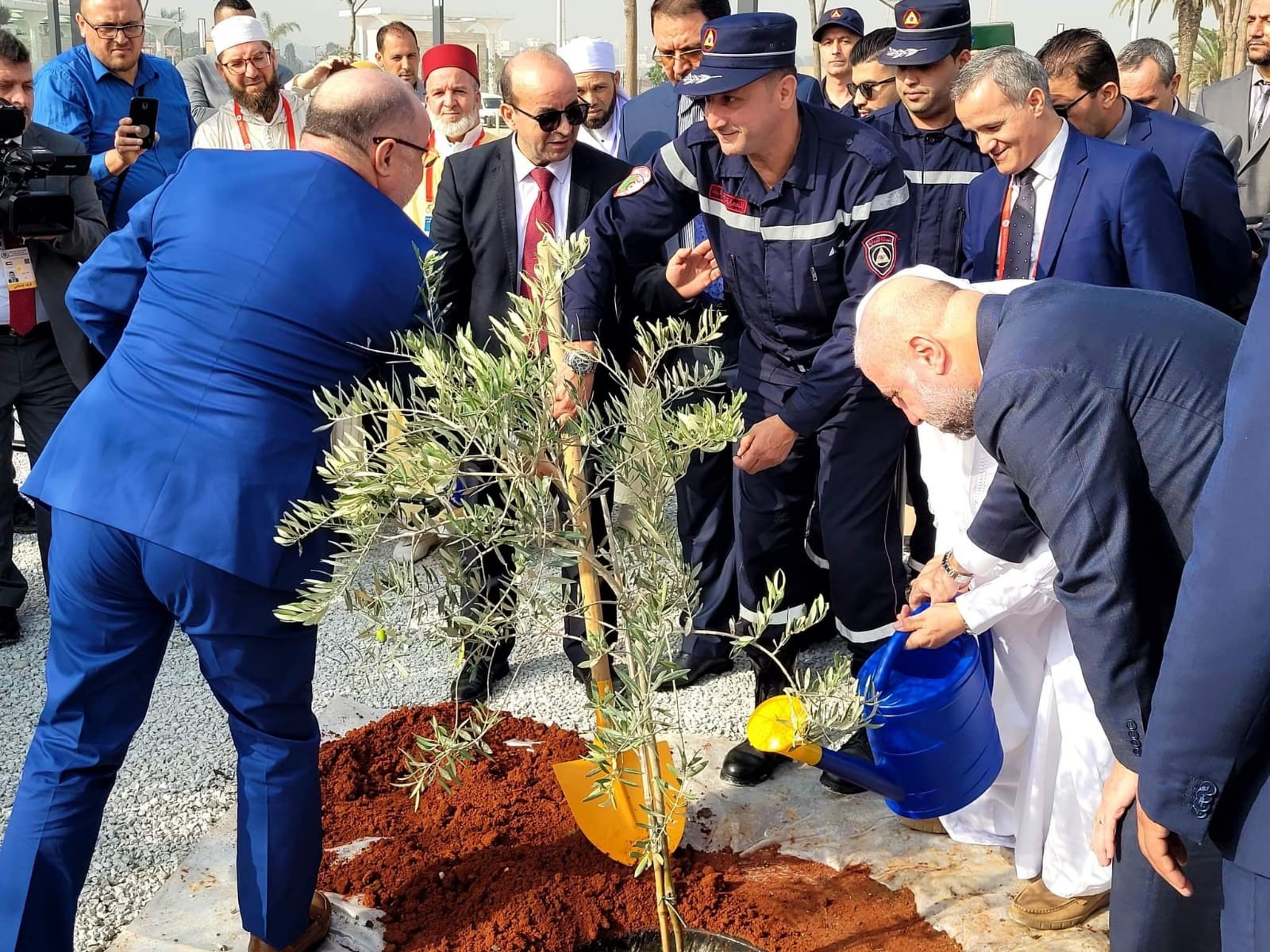 الهباش يمثل الرئيس في غرس شجرات زيتون فلسطينية في ساحة جامع الجزائر الأعظم 2.jpg