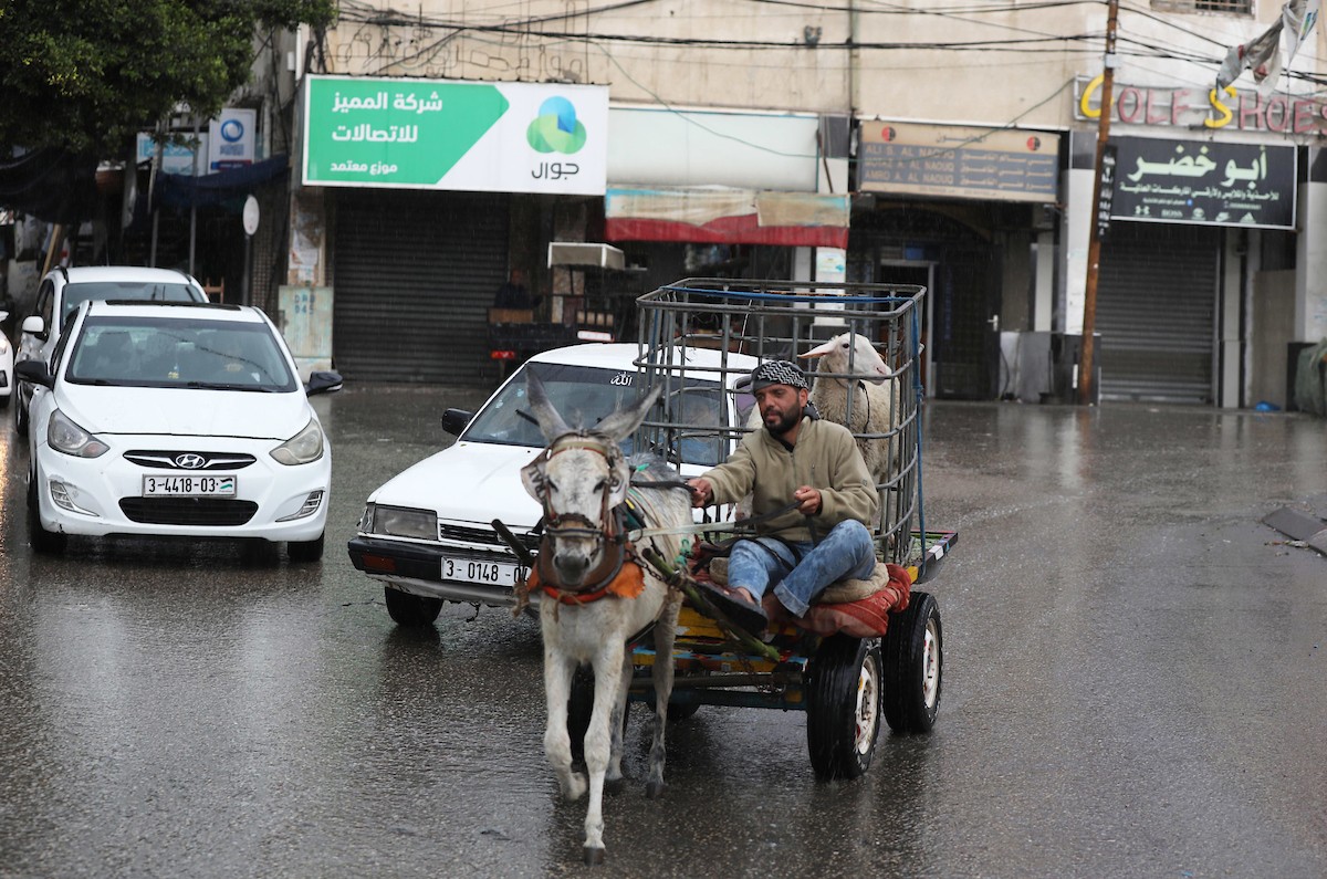 فلسطينيون يسيرون في شارع غمرته مياه الأمطار في دير البلح وسط قطاع غزة 6.jpg