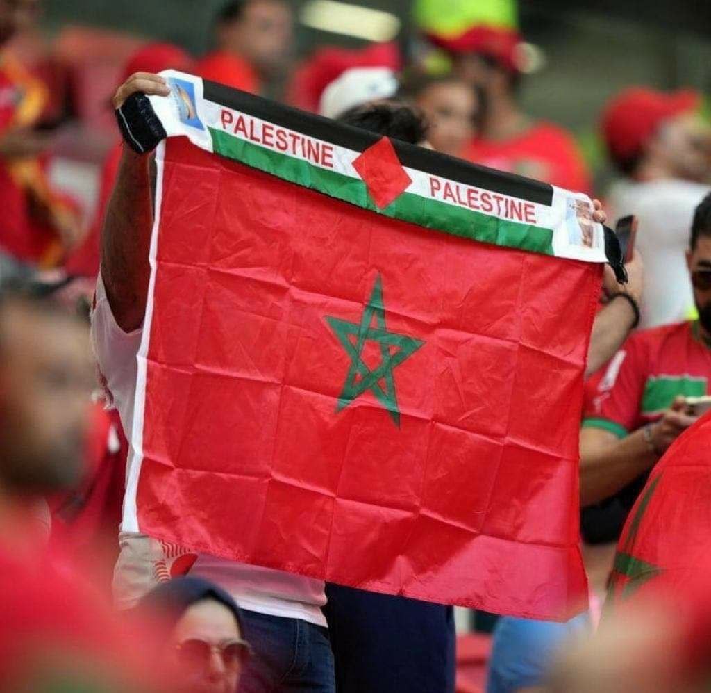 مشجعون يرفعون أعلام فلسطين خلال مباراة المغرب وكندا 4.jpg