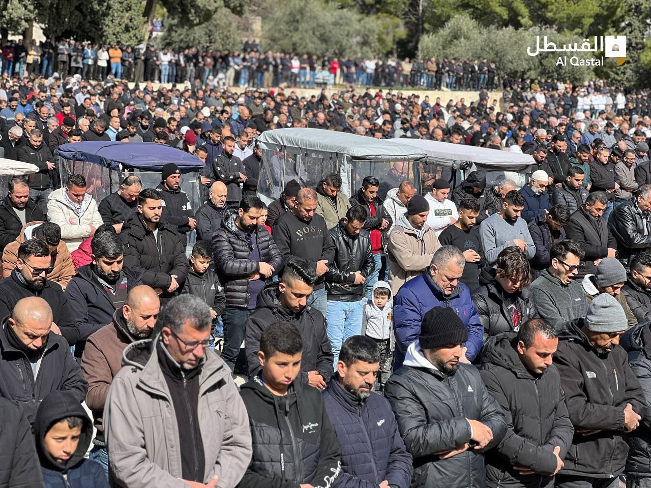 أعداد كبيرة من المصلين أدوا صلاة الجمعة في المسجد الأقصى المبارك 342.jpg