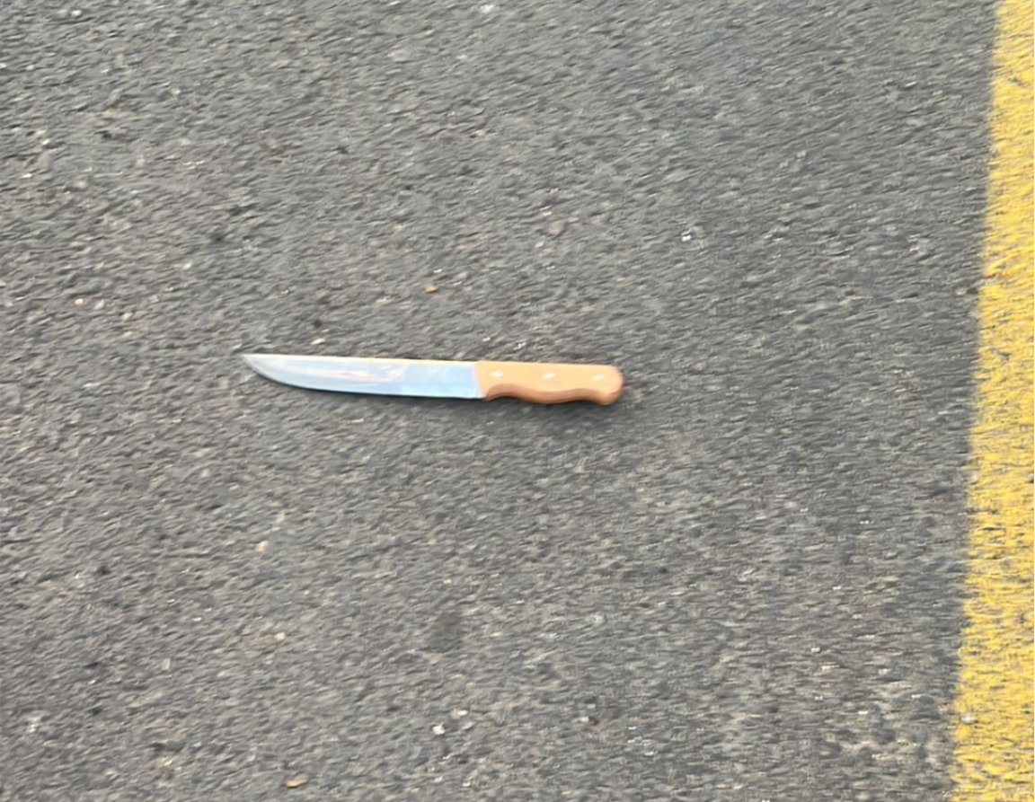 السكين الذي استخدمته الفلسطينية.png