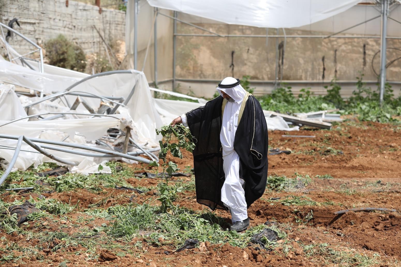 قوات الاحتلال الاسرائيلي، تهدم منشآت زراعية شرق مدينة الخليل 77.jpg