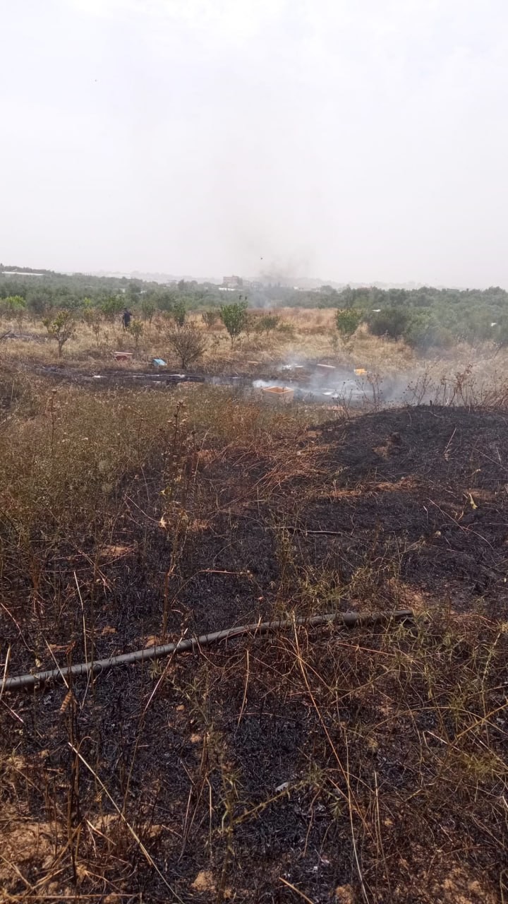 المدني يسيطر على حريق طال مساحات من الأراضي وخلايا نحل في بيت حانون شمال قطاع غزة 1.jpg