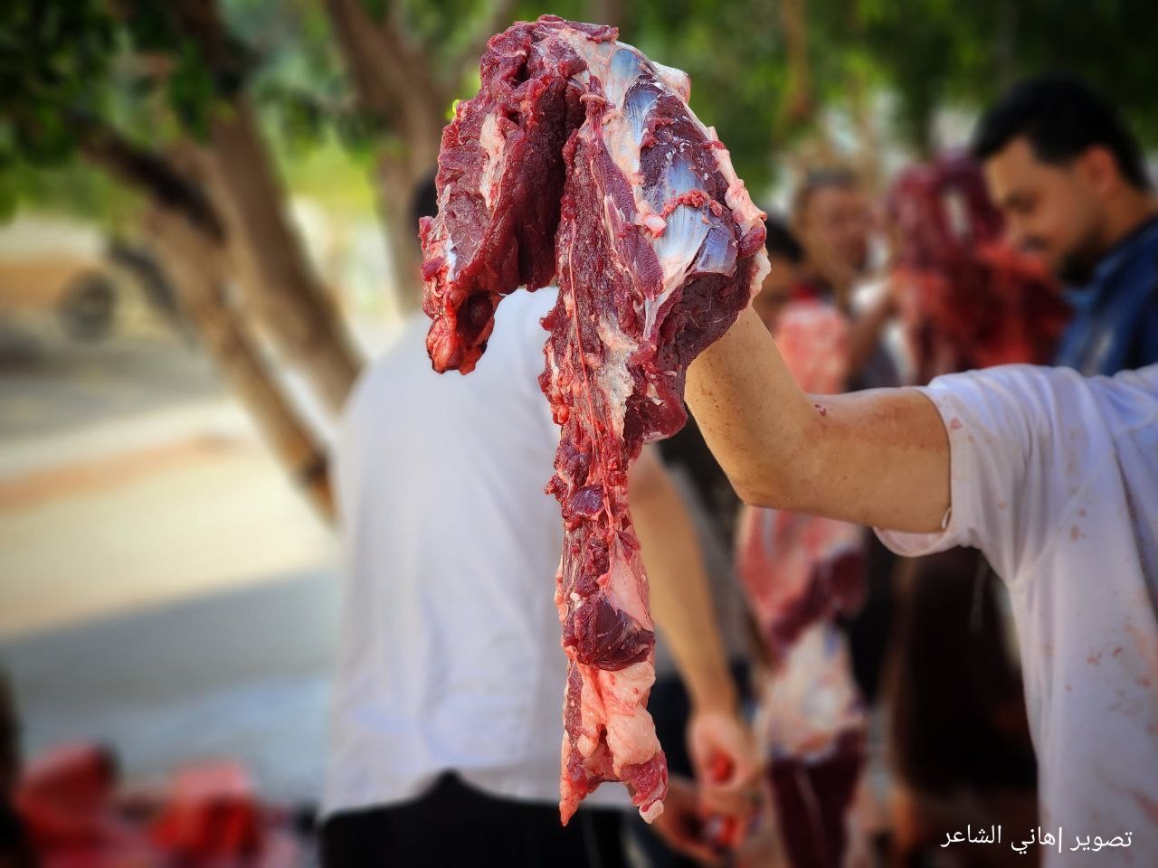 ذبح الأضاحي وتقطيعها في شوارعها محافظة خان يونس جنوب قطاع غزة..تصوير- (هاني الشاعر) 99.jpg