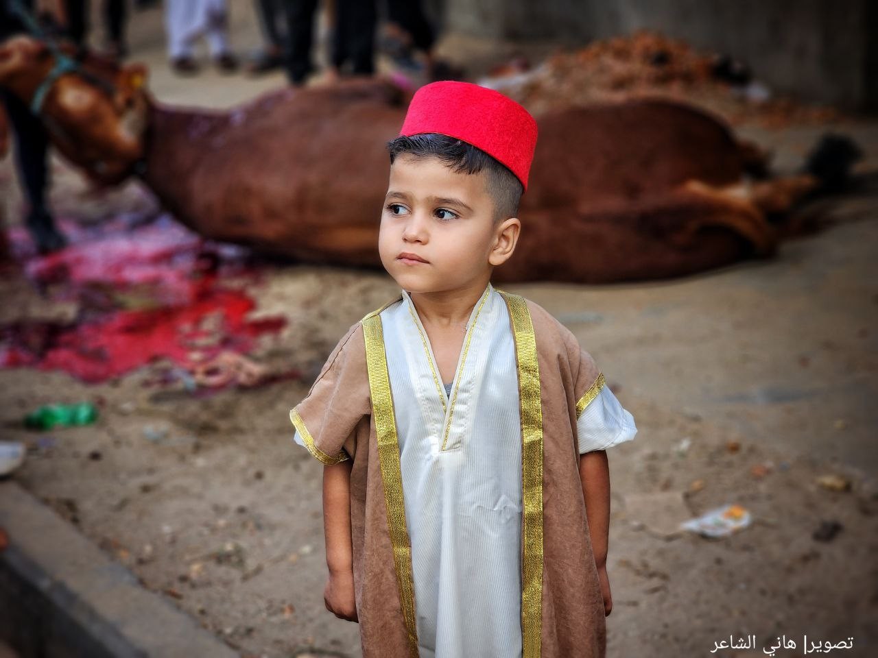 ذبح الأضاحي وتقطيعها في شوارعها محافظة خان يونس جنوب قطاع غزة..تصوير- (هاني الشاعر).jpg