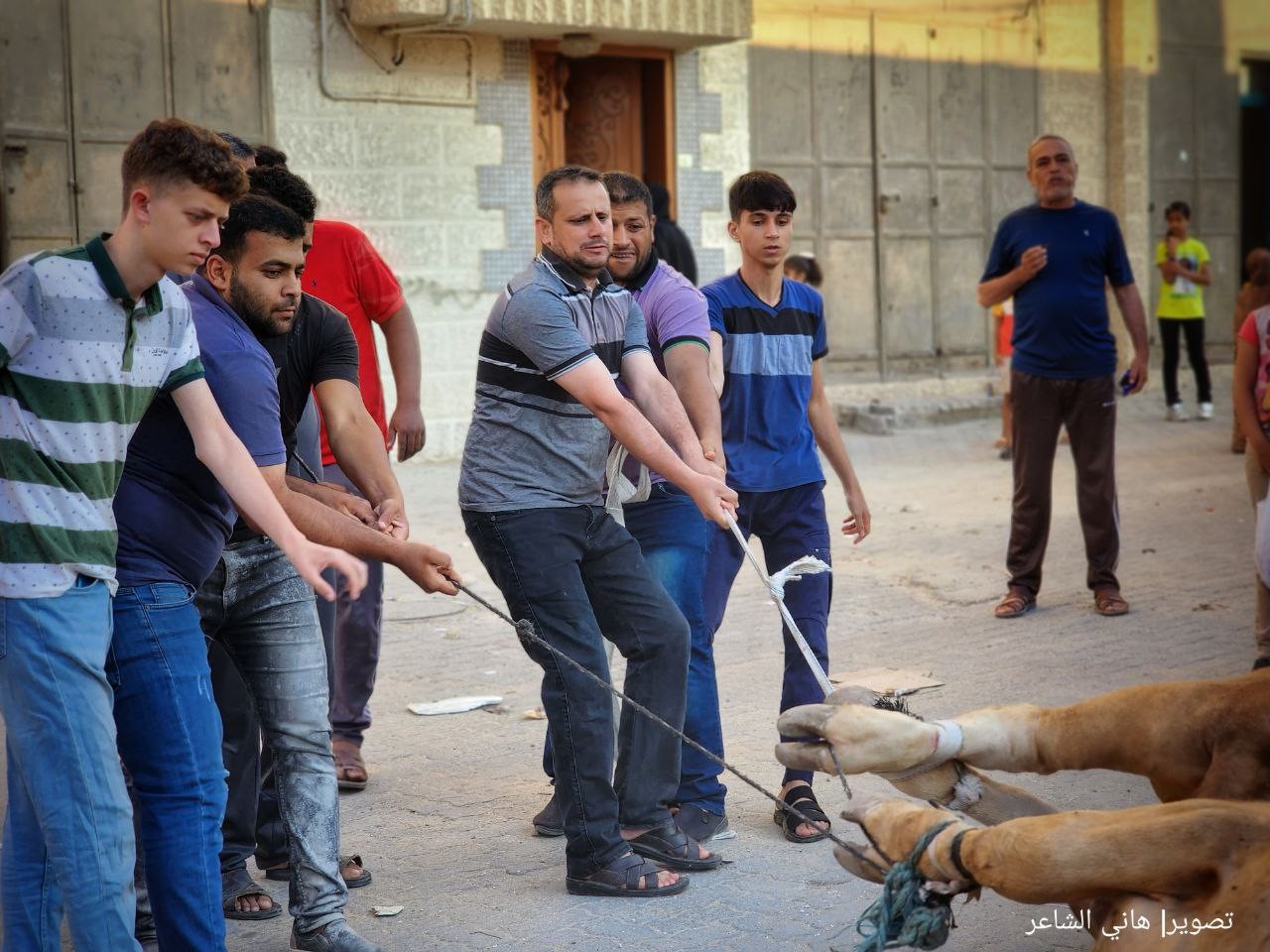 ذبح الأضاحي وتقطيعها في شوارعها محافظة خان يونس جنوب قطاع غزة..تصوير- (هاني الشاعر) 22.jpg