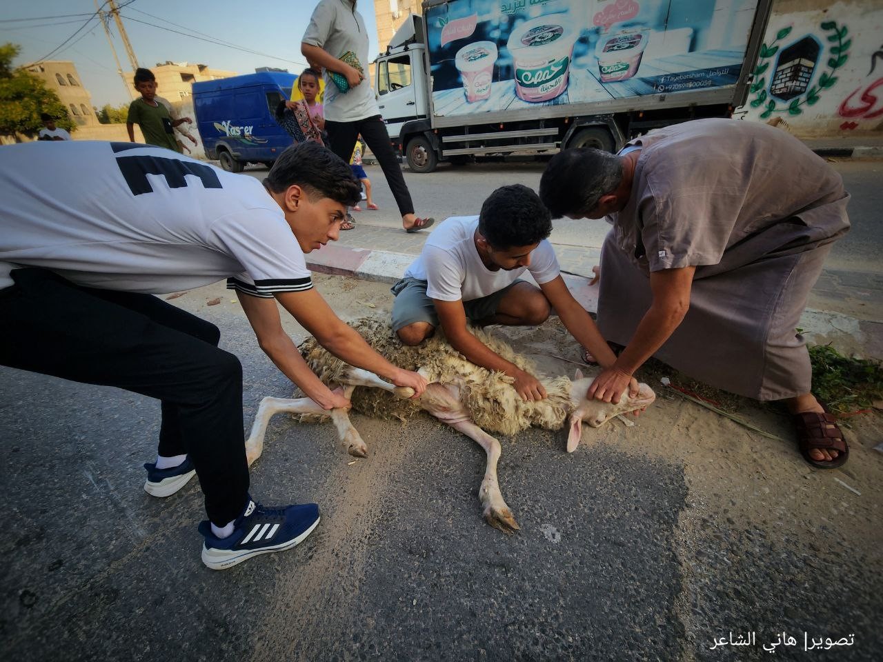 ذبح الأضاحي وتقطيعها في شوارعها محافظة خان يونس جنوب قطاع غزة..تصوير- (هاني الشاعر) 2.jpg