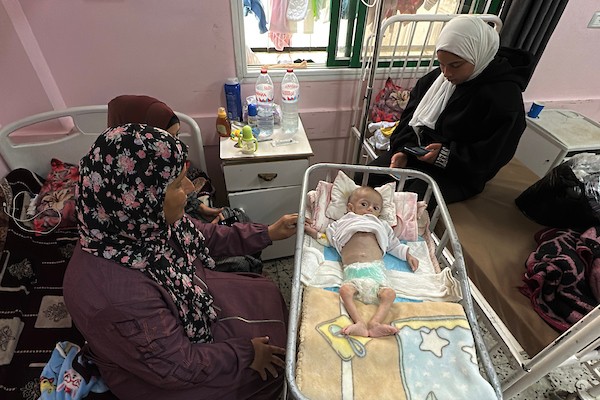 الرضيعة الفلسطينية سُوار عاشور (3).jpg