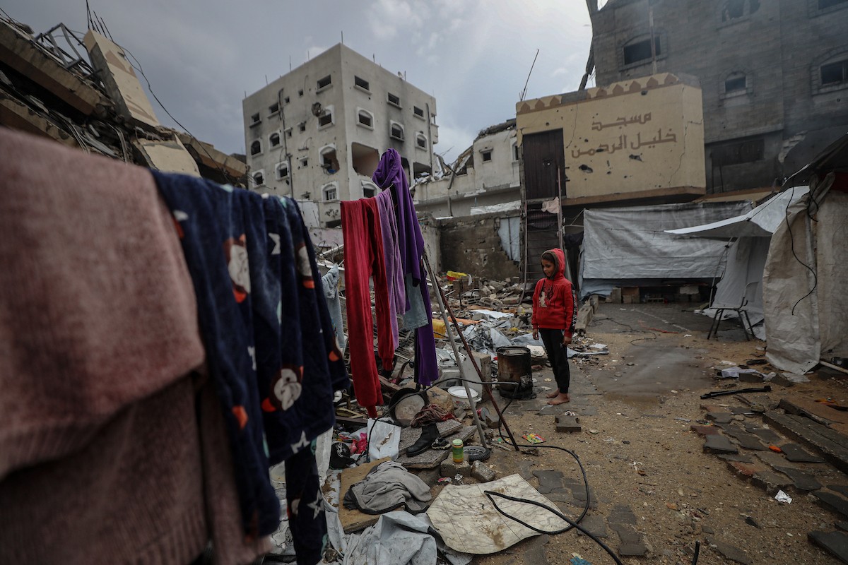 مسنان يعتنيان بـ 36 حفيدًا بعد أن فقدا خمسة من أبنائهما خلال الحرب الإسرائيلية على قطاع غزة (28).jpg