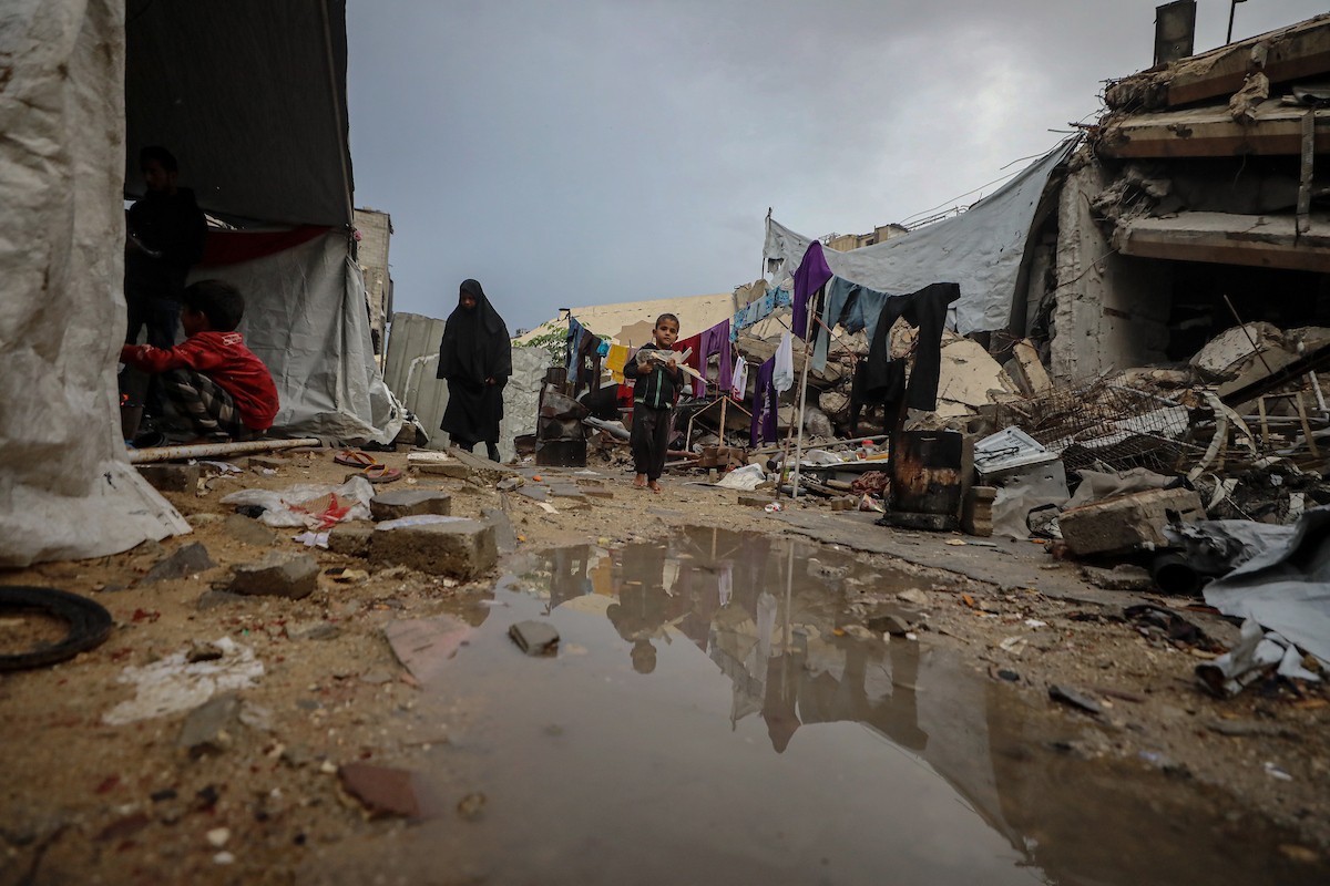 مسنان يعتنيان بـ 36 حفيدًا بعد أن فقدا خمسة من أبنائهما خلال الحرب الإسرائيلية على قطاع غزة (40).jpg