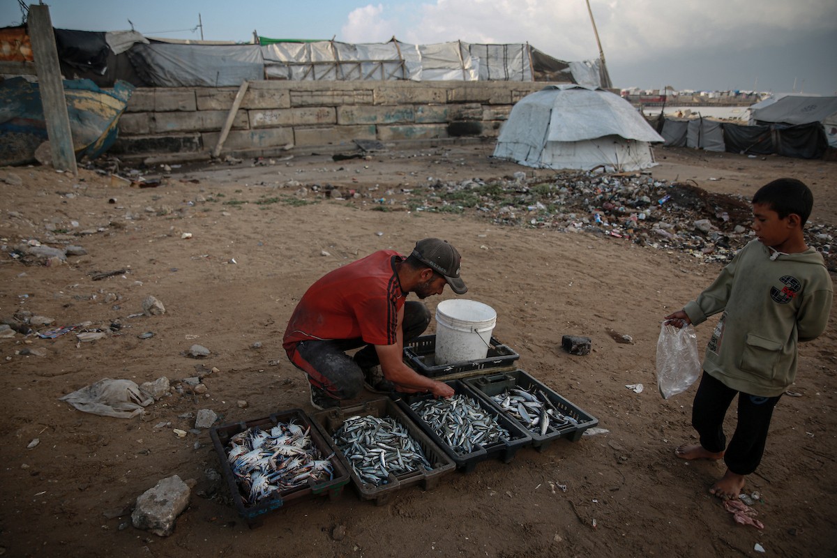 يحاول الصيادون الفلسطينيون في ميناء غزة كسب رزقهم من خلال رمي شباكهم، رغم الأضرار التي لحقت بمعداتهم جراء الهجمات على مدينة غزة