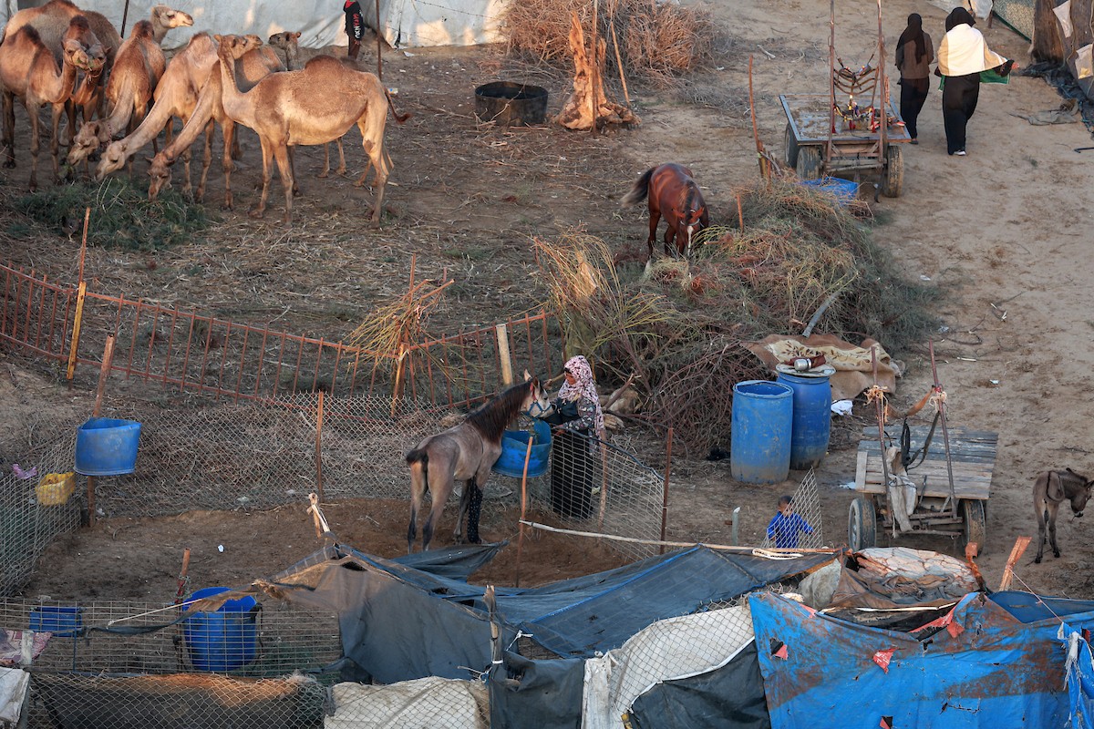 منظر عام للمنطقة حيث تواجه الأسر الفلسطينية النازحة التي تعيش في خيام مؤقتة بالقرب من مدينة الزوايدة في وسط قطاع غزة