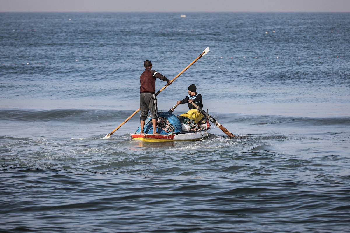 صيادون فلسطينيون نازحون يجمعون صيدهم من الشباك التي جلبوها إلى الشاطئ في دير البلح، في وسط قطا (12).jpg