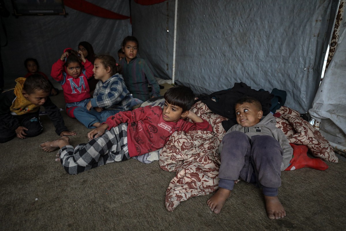 مسنان يعتنيان بـ 36 حفيدًا بعد أن فقدا خمسة من أبنائهما خلال الحرب الإسرائيلية على قطاع غزة (4).jpg