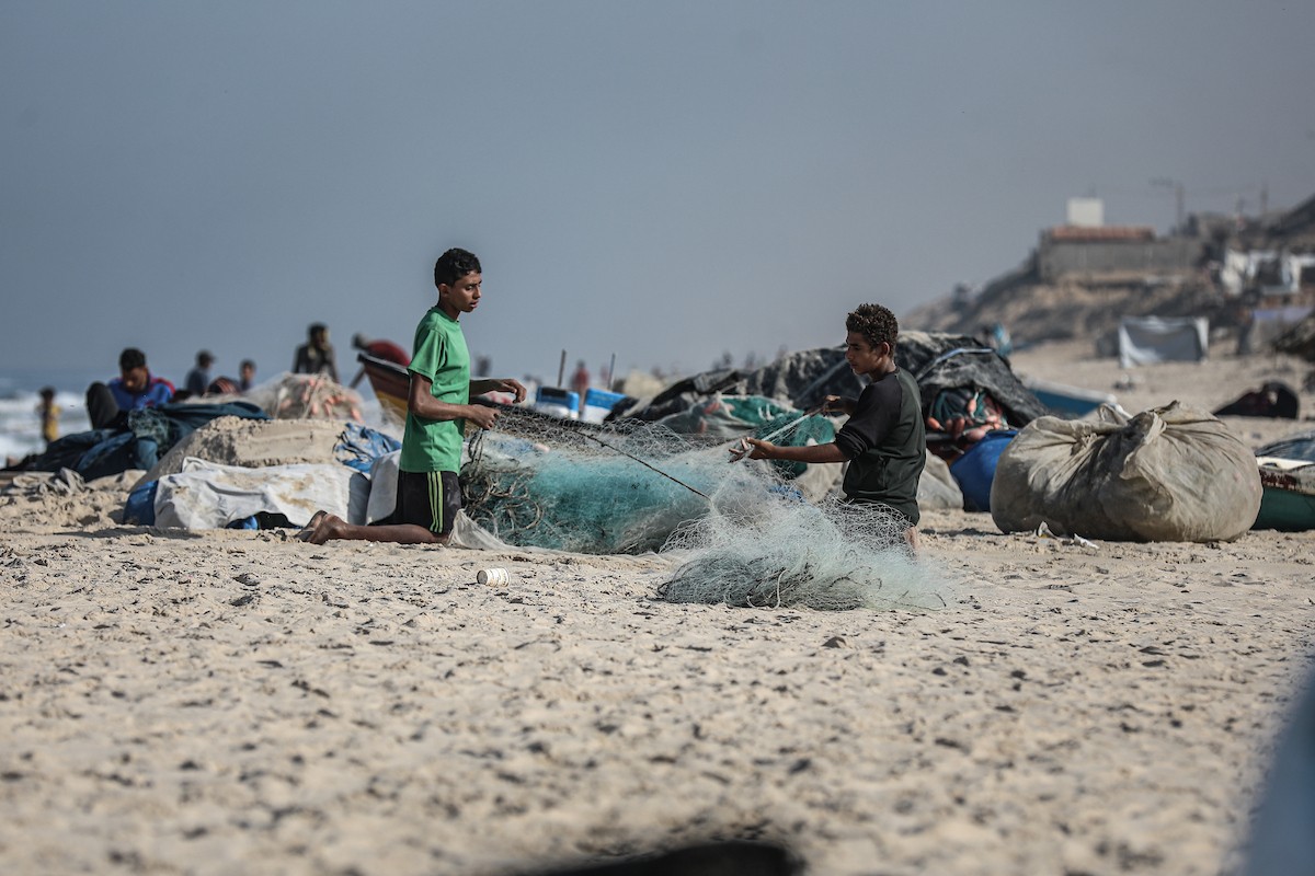 صيادون فلسطينيون نازحون يجمعون صيدهم من الشباك التي جلبوها إلى الشاطئ في دير البلح، في وسط قطا (31).jpg