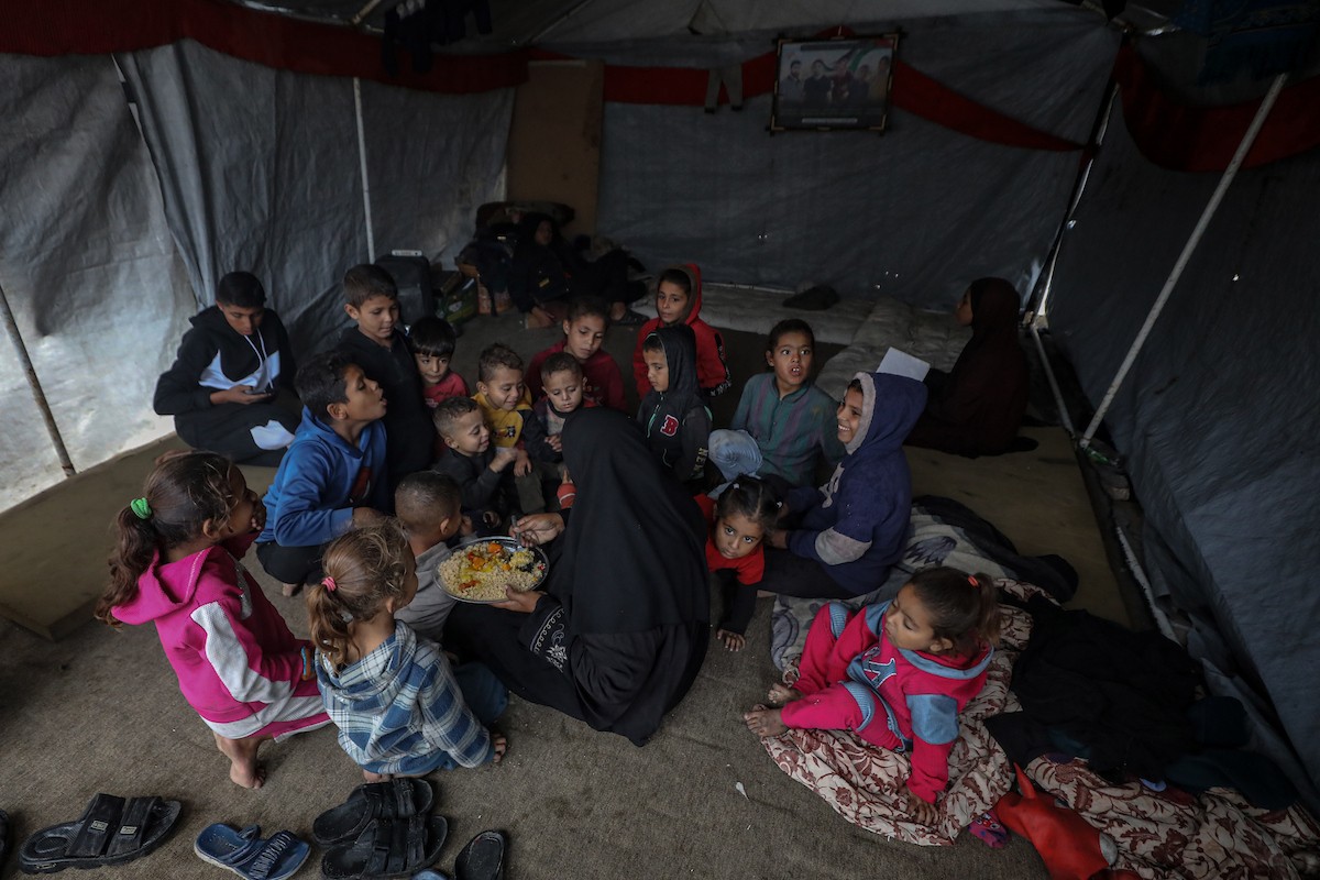 مسنان يعتنيان بـ 36 حفيدًا بعد أن فقدا خمسة من أبنائهما خلال الحرب الإسرائيلية على قطاع غزة (15).jpg