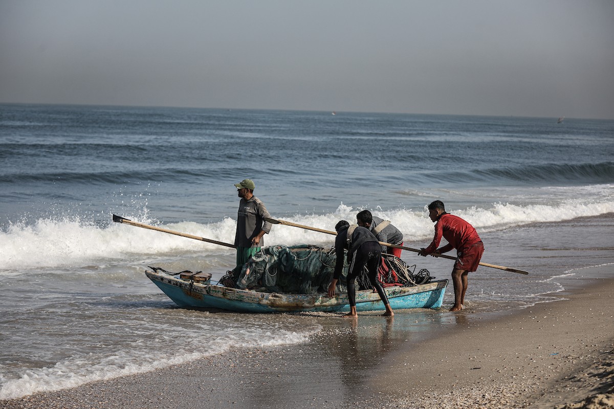 صيادون فلسطينيون نازحون يجمعون صيدهم من الشباك التي جلبوها إلى الشاطئ في دير البلح، في وسط قطا (7).jpg