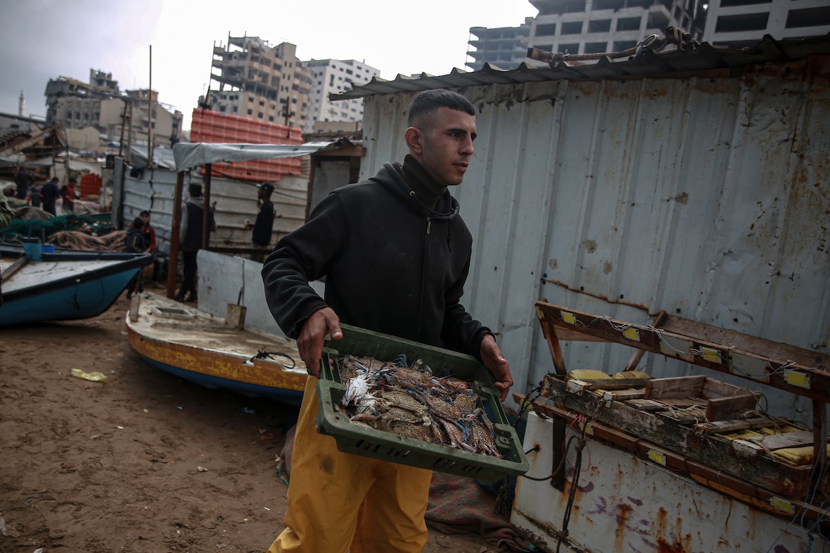 يحاول الصيادون الفلسطينيون في ميناء غزة كسب رزقهم من خلال رمي شباكهم، رغم الأضرار التي لحقت بمعداتهم جراء الهجمات على مدينة غزة