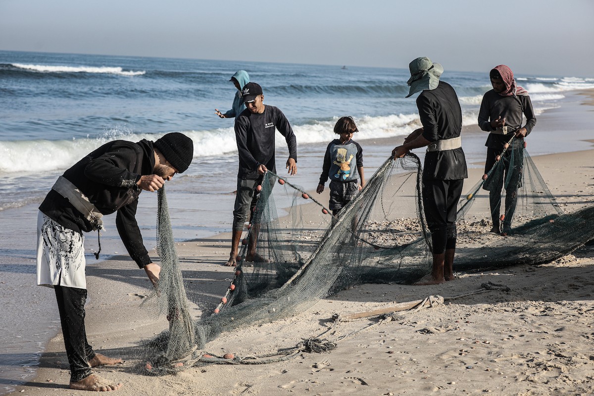 صيادون فلسطينيون نازحون يجمعون صيدهم من الشباك التي جلبوها إلى الشاطئ في دير البلح، في وسط قطا (5).jpg
