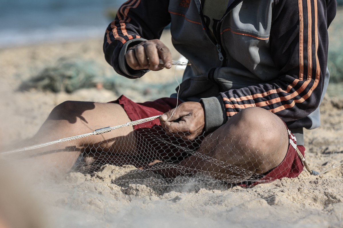صيادون فلسطينيون نازحون يجمعون صيدهم من الشباك التي جلبوها إلى الشاطئ في دير البلح، في وسط قطا (11).jpg