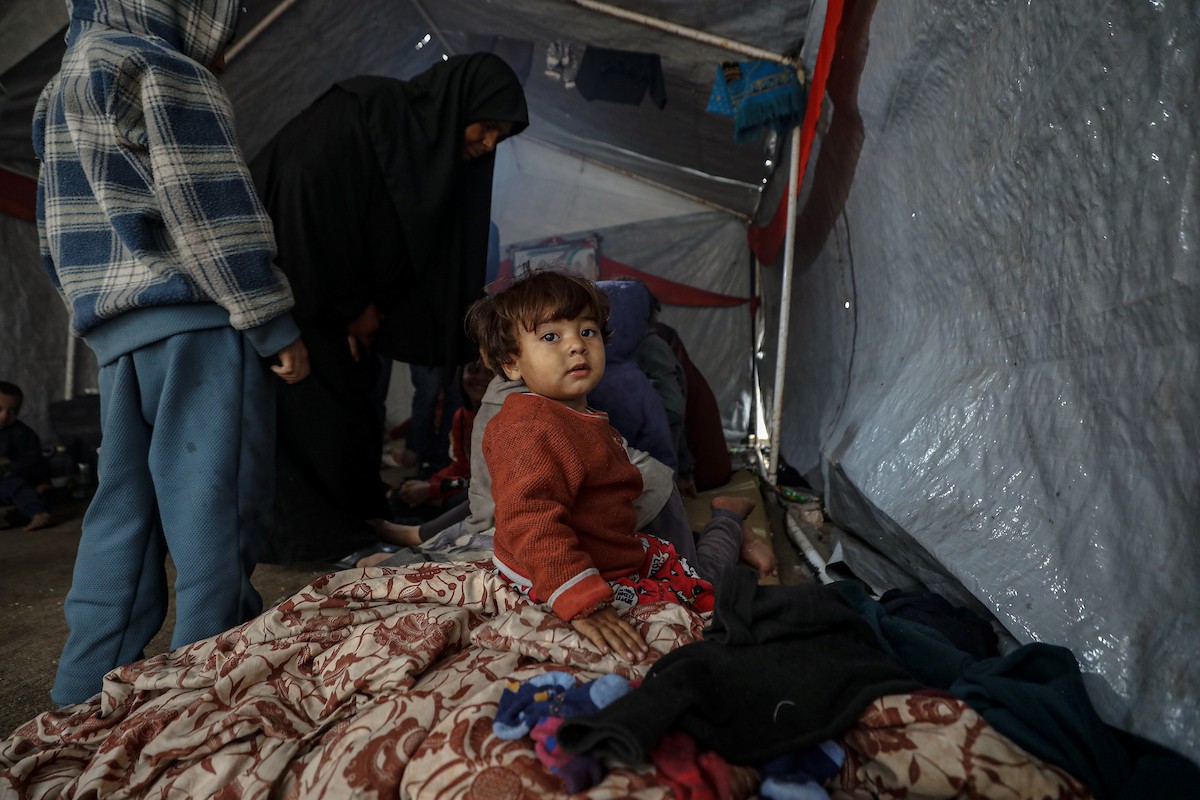 مسنان يعتنيان بـ 36 حفيدًا بعد أن فقدا خمسة من أبنائهما خلال الحرب الإسرائيلية على قطاع غزة (24).jpg