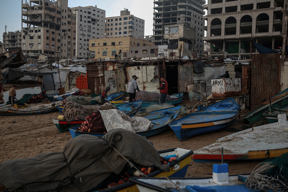 يحاول الصيادون الفلسطينيون في ميناء غزة كسب رزقهم من خلال رمي شباكهم، رغم الأضرار التي لحقت بمعداتهم جراء الهجمات على مدينة غزة