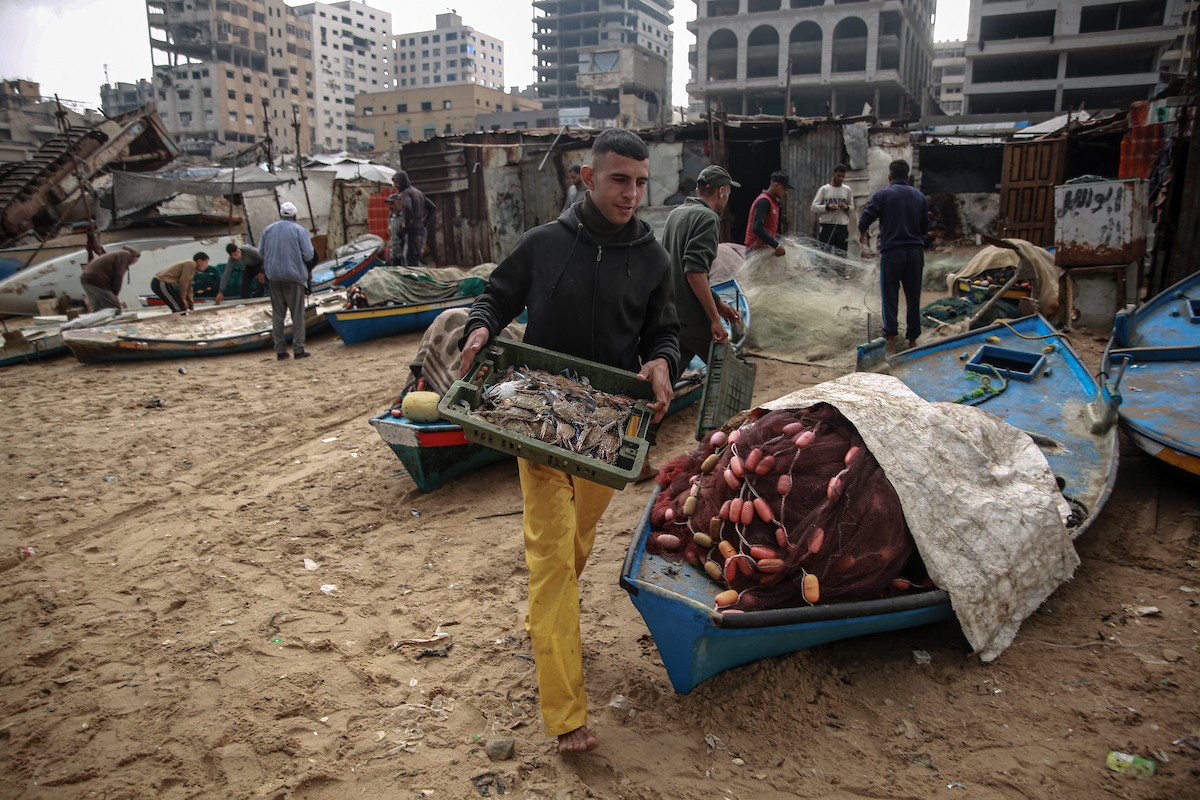 يحاول الصيادون الفلسطينيون في ميناء غزة كسب رزقهم من خلال رمي شباكهم، رغم الأضرار التي لحقت بمعداتهم جراء الهجمات على مدينة غزة