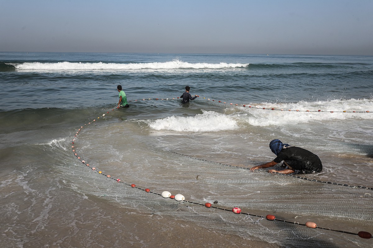صيادون فلسطينيون نازحون يجمعون صيدهم من الشباك التي جلبوها إلى الشاطئ في دير البلح، في وسط قطا (27).jpg