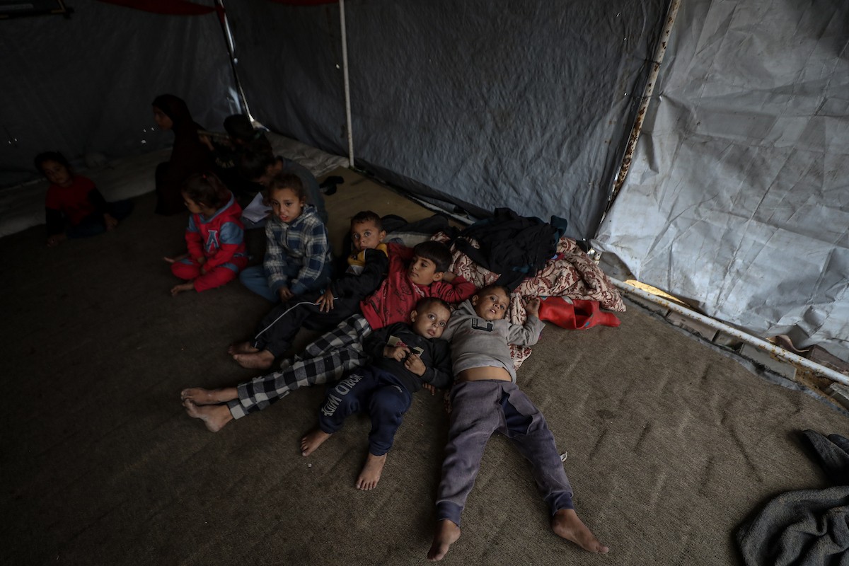 مسنان يعتنيان بـ 36 حفيدًا بعد أن فقدا خمسة من أبنائهما خلال الحرب الإسرائيلية على قطاع غزة (5).jpg