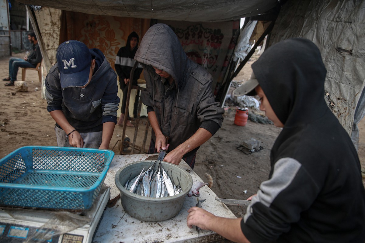 يحاول الصيادون الفلسطينيون في ميناء غزة كسب رزقهم من خلال رمي شباكهم، رغم الأضرار التي لحقت بمعداتهم جراء الهجمات على مدينة غزة