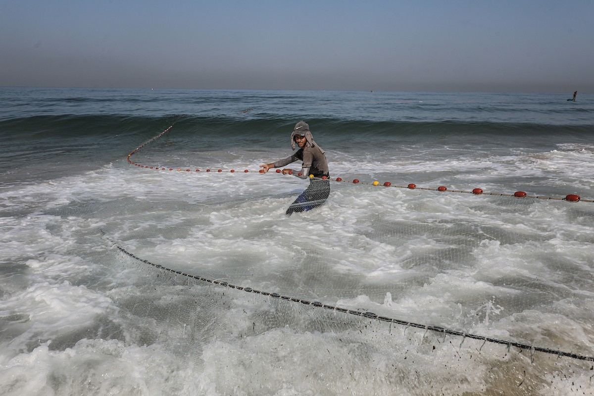صيادون فلسطينيون نازحون يجمعون صيدهم من الشباك التي جلبوها إلى الشاطئ في دير البلح، في وسط قطا.jpg
