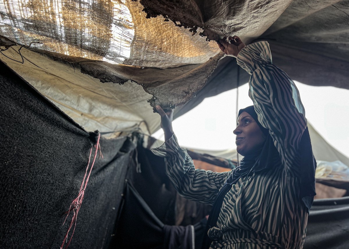 خيام مهترئة لا تحمي من البرد أو المطر.. مخيم النصيرات، وسط قطاع غزة، في 5 نوفمبرتشرين الثاني 2025 (13).jpg