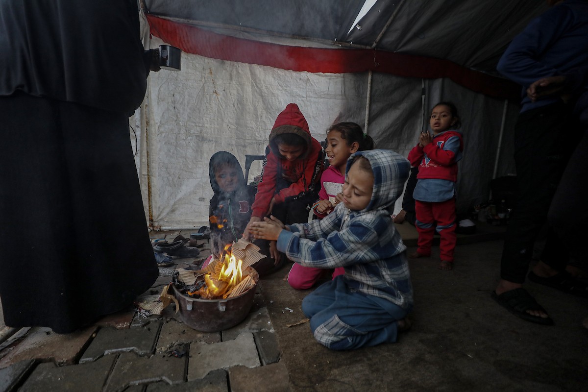 مسنان يعتنيان بـ 36 حفيدًا بعد أن فقدا خمسة من أبنائهما خلال الحرب الإسرائيلية على قطاع غزة (25).jpg