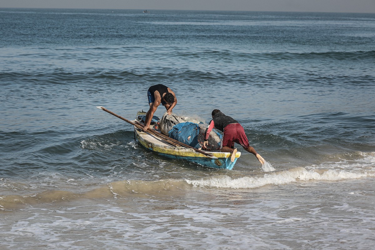 صيادون فلسطينيون نازحون يجمعون صيدهم من الشباك التي جلبوها إلى الشاطئ في دير البلح، في وسط قطا (15).jpg