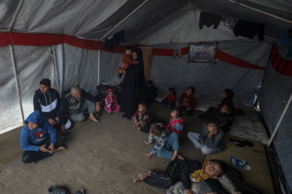 مسنان يعتنيان بـ 36 حفيدًا بعد أن فقدا خمسة من أبنائهما خلال الحرب الإسرائيلية على قطاع غزة (8).jpg