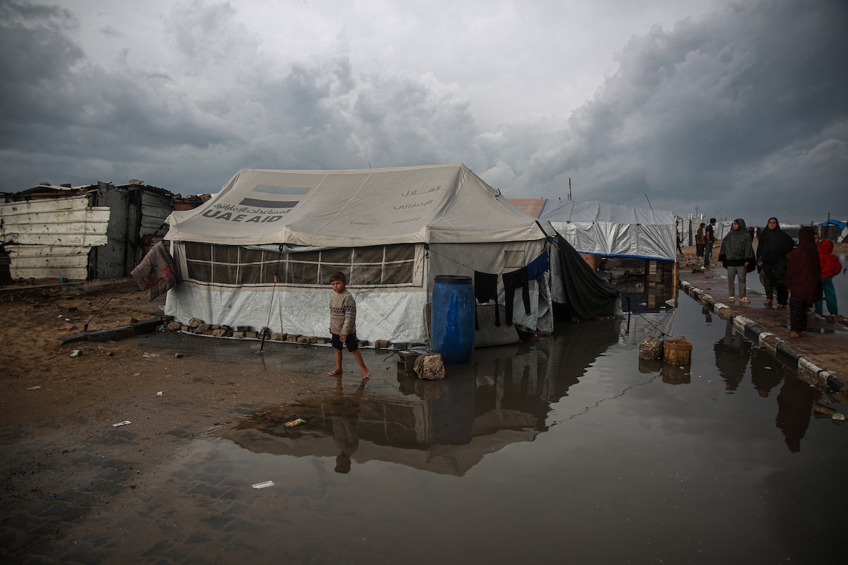 منظر لخيام النازحين في ميناء غزة بعد أن غمرتها مياه الأمطار، مخلفةً بركًا من الماء والطين في أنحاء مدينة غزة، 14 نوفمبر/تشرين الثاني 2025