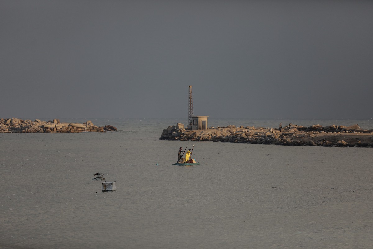 يحاول الصيادون الفلسطينيون في ميناء غزة كسب رزقهم من خلال رمي شباكهم، رغم الأضرار التي لحقت بمعداتهم جراء الهجمات على مدينة غزة