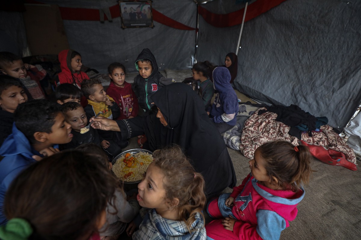 مسنان يعتنيان بـ 36 حفيدًا بعد أن فقدا خمسة من أبنائهما خلال الحرب الإسرائيلية على قطاع غزة (11).jpg