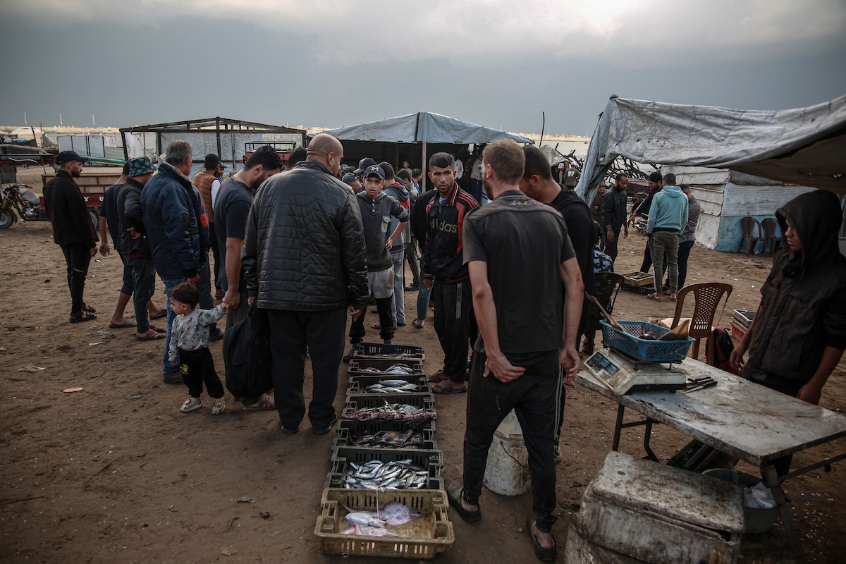 يحاول الصيادون الفلسطينيون في ميناء غزة كسب رزقهم من خلال رمي شباكهم، رغم الأضرار التي لحقت بمعداتهم جراء الهجمات على مدينة غزة