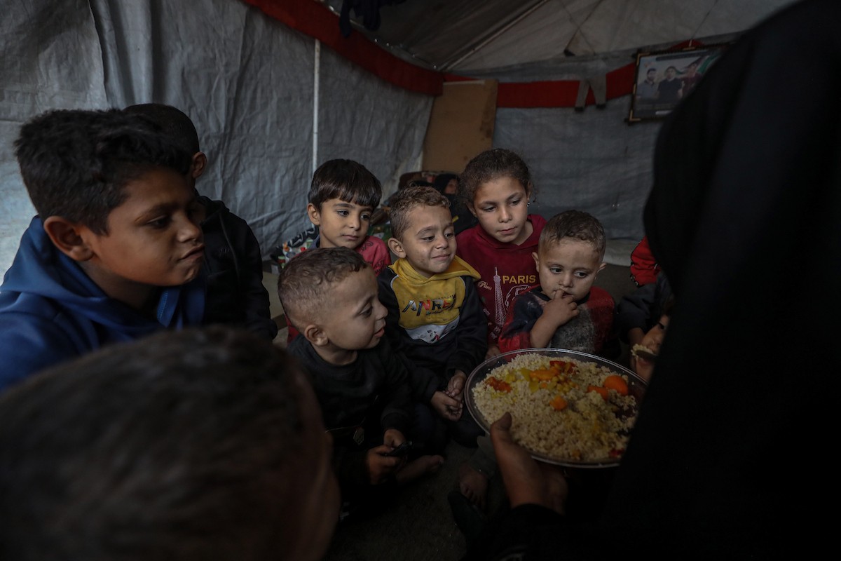 مسنان يعتنيان بـ 36 حفيدًا بعد أن فقدا خمسة من أبنائهما خلال الحرب الإسرائيلية على قطاع غزة (13).jpg