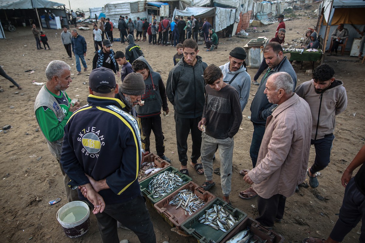 يحاول الصيادون الفلسطينيون في ميناء غزة كسب رزقهم من خلال رمي شباكهم، رغم الأضرار التي لحقت بمعداتهم جراء الهجمات على مدينة غزة