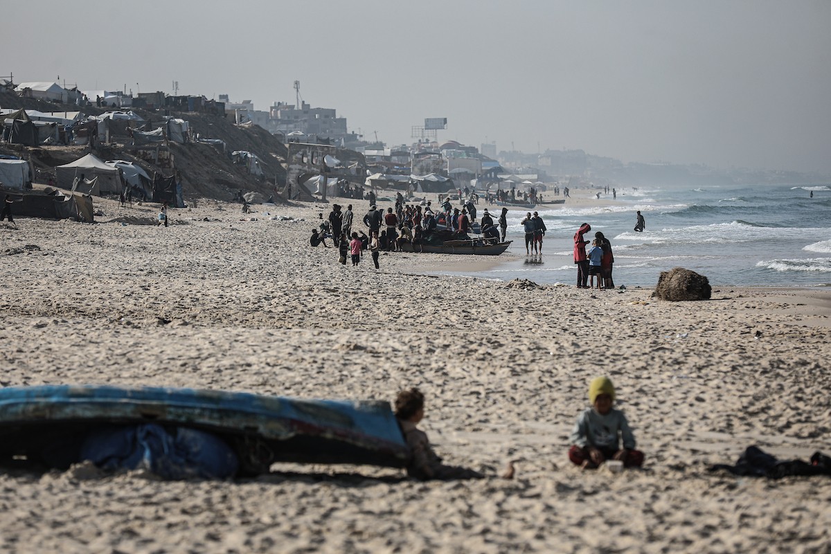 صيادون فلسطينيون نازحون يجمعون صيدهم من الشباك التي جلبوها إلى الشاطئ في دير البلح، في وسط قطا (32).jpg