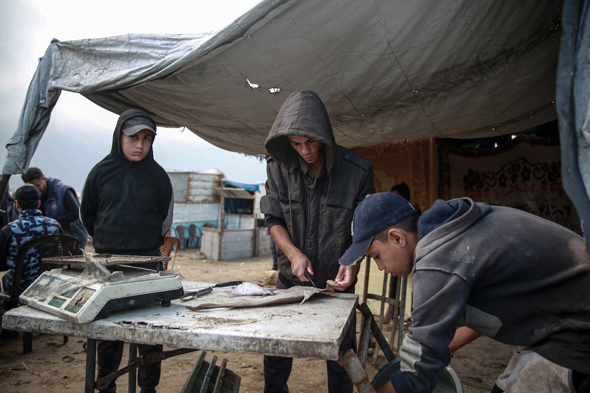 يحاول الصيادون الفلسطينيون في ميناء غزة كسب رزقهم من خلال رمي شباكهم، رغم الأضرار التي لحقت بمعداتهم جراء الهجمات على مدينة غزة
