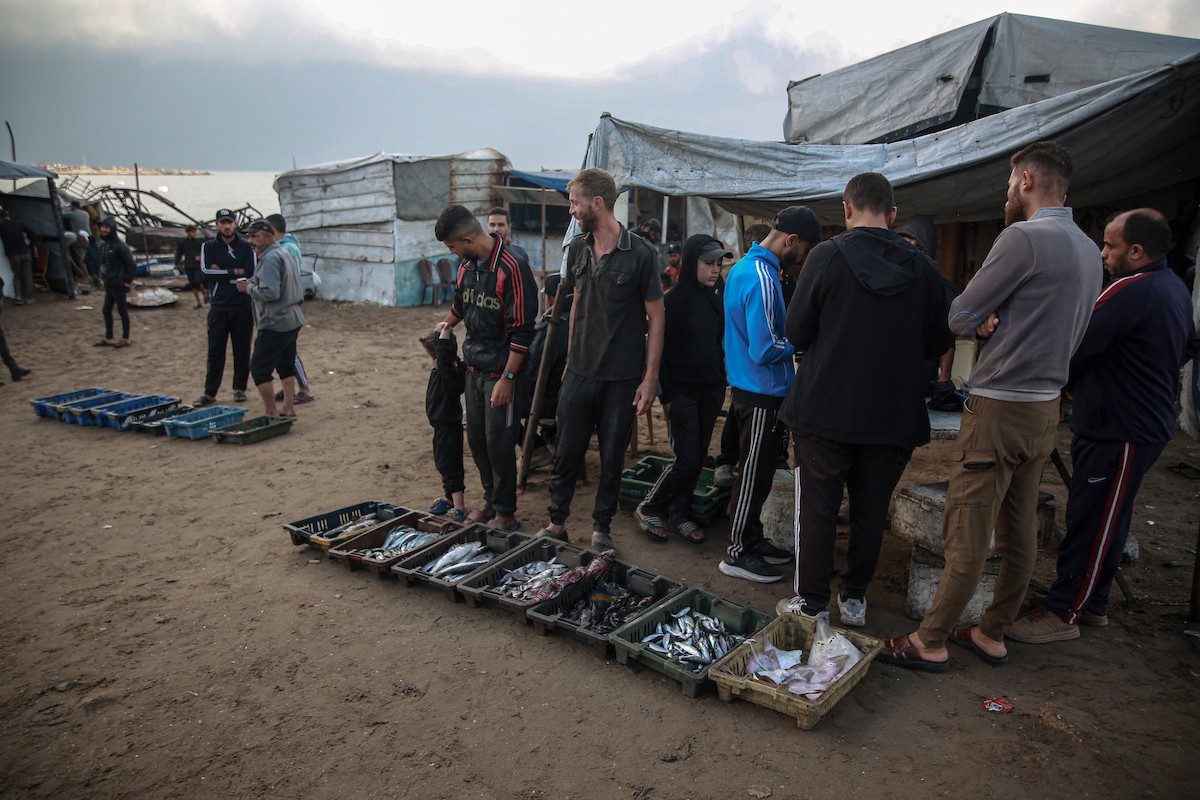 يحاول الصيادون الفلسطينيون في ميناء غزة كسب رزقهم من خلال رمي شباكهم، رغم الأضرار التي لحقت بمعداتهم جراء الهجمات على مدينة غزة